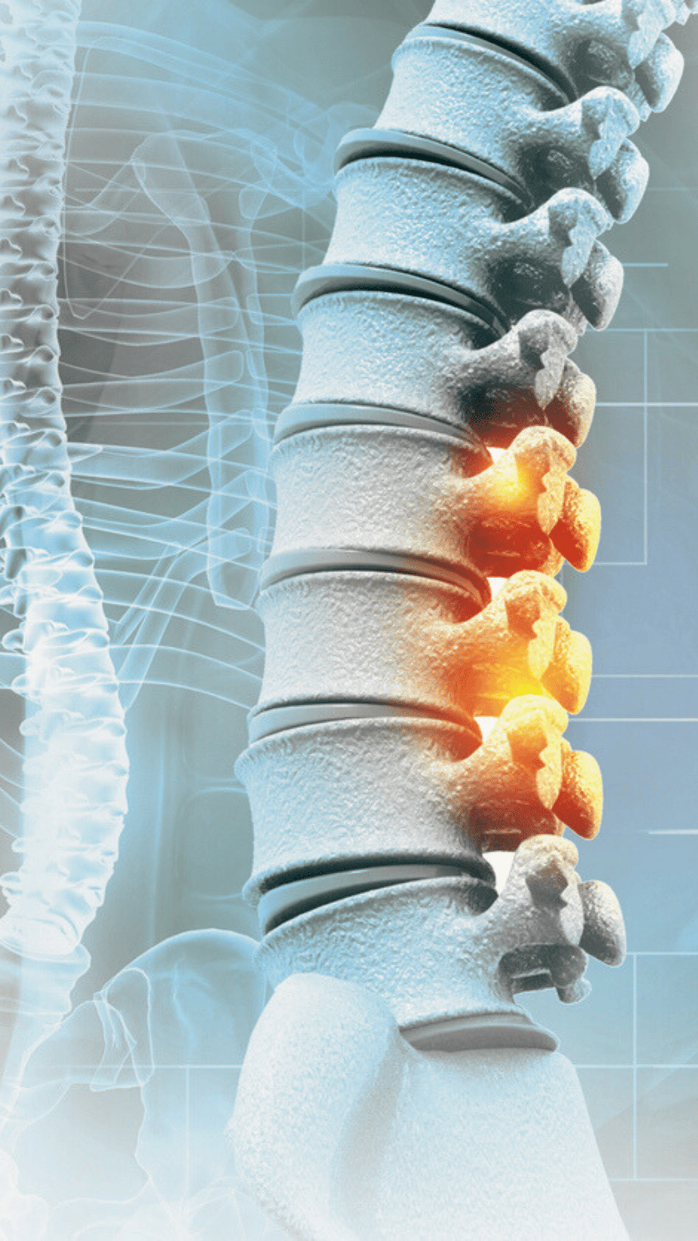 Backpain vertical