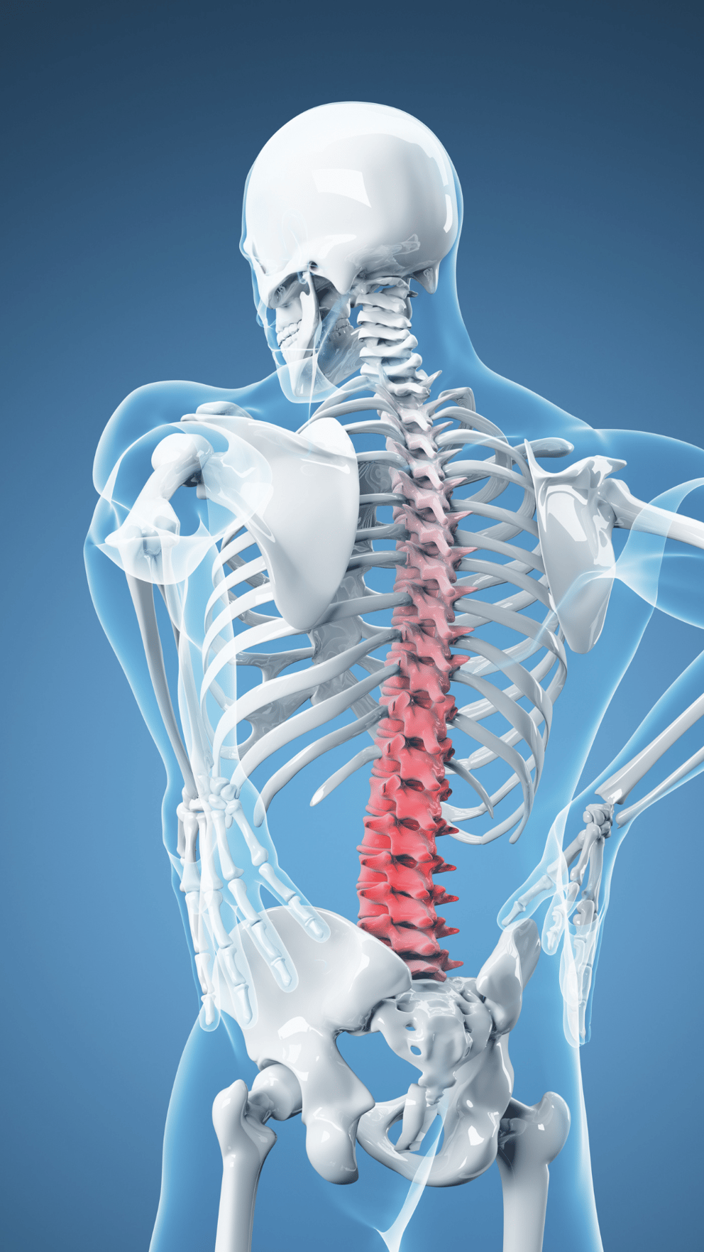 Sciatica8
