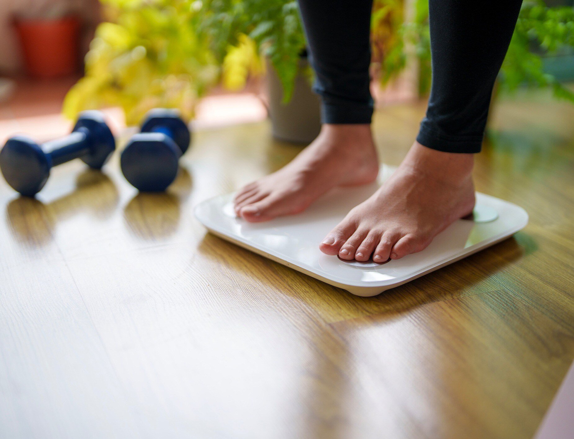 iStock-2168333004