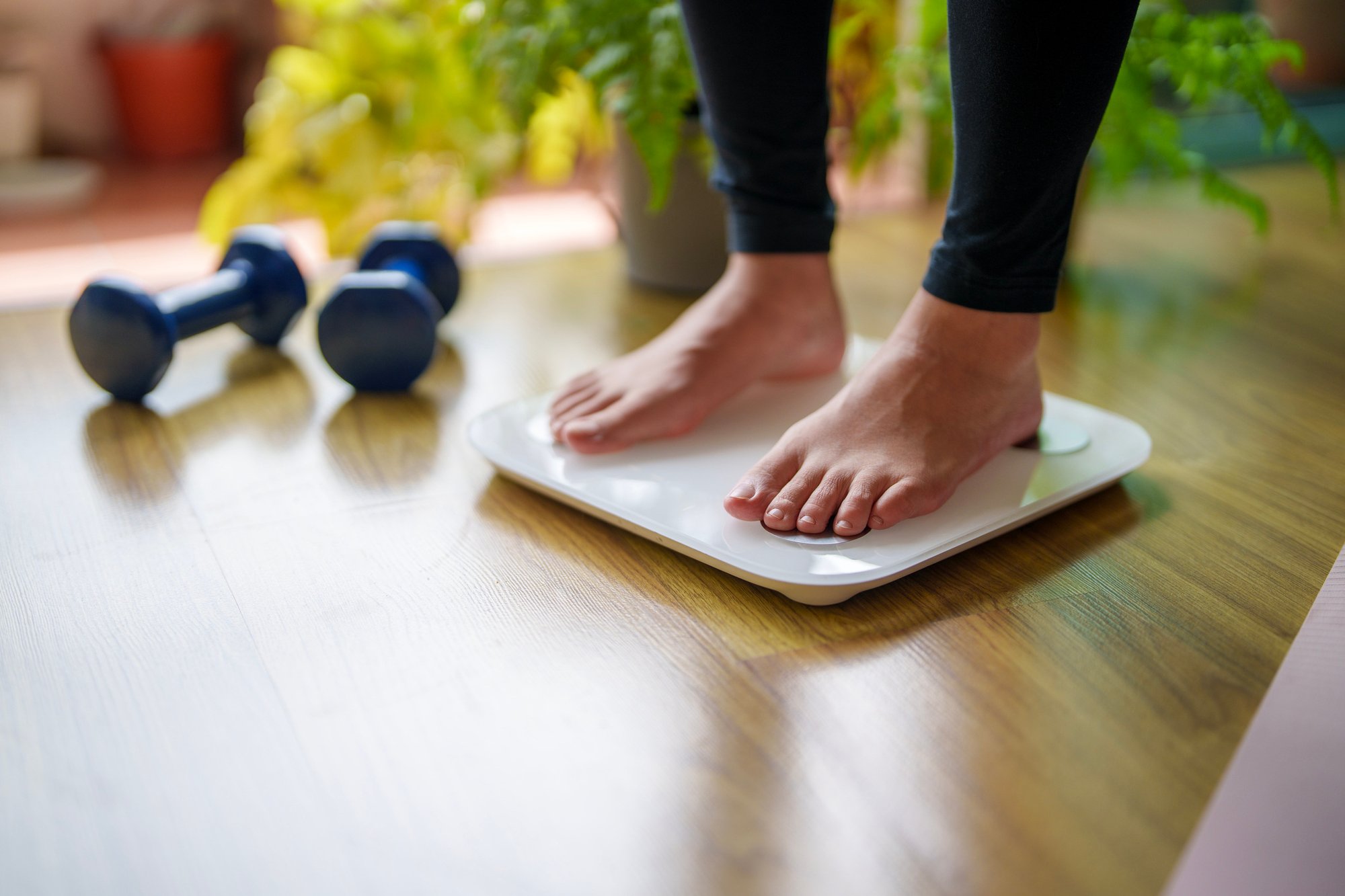 iStock-2168333004