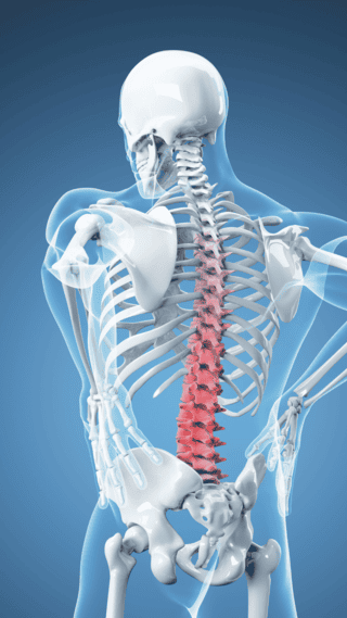 Sciatica8 (1)