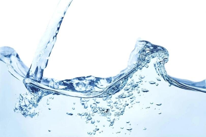 Ultra Hydration IV